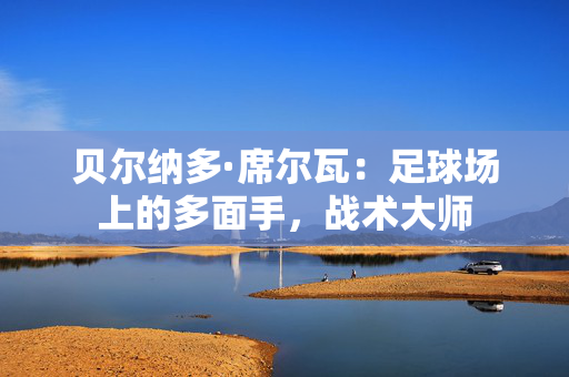 贝尔纳多·席尔瓦:足球场上的多面手,战术大师 贝尔纳多·席尔瓦:足球场上的多面手,战术大师