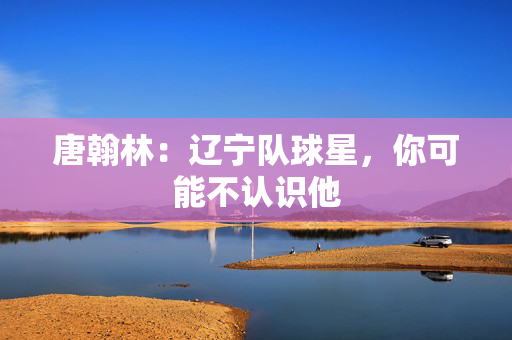唐翰林:辽宁队球星,你可能不认识他 唐翰林:辽宁队球星,你可能不认识他