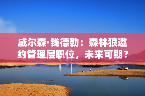 威尔森·钱德勒:森林狼邀约管理层职位,未来可期? 威尔森·钱德勒:森林狼邀约管理层职位,未来可期?