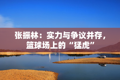 张振林:实力与争议并存,篮球场上的“猛虎” 张振林:实力与争议并存,篮球场上的“猛虎”