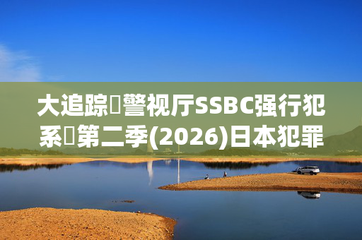 大追踪〜警视厅SSBC强行犯系〜第二季(2026)日本犯罪剧_夸克百度网盘高清4K资源下载