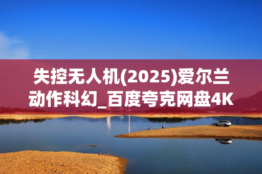 失控无人机(2025)爱尔兰动作科幻_百度夸克网盘4K高清资源下载