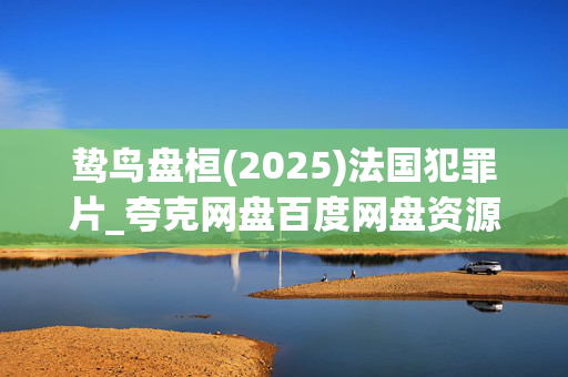 鸷鸟盘桓(2025)法国犯罪片_夸克网盘百度网盘资源_高清4K下载