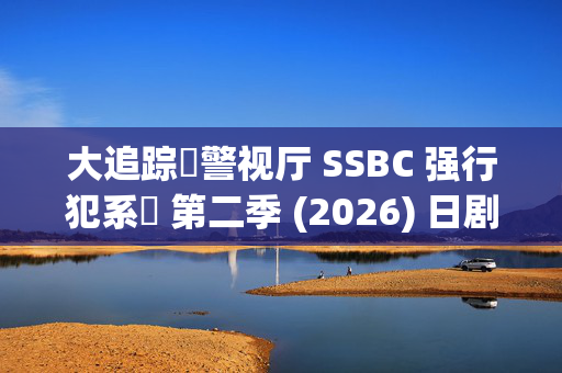 大追踪〜警视厅 SSBC 强行犯系〜 第二季 (2026) 日剧_百度夸克网盘资源_高清4K下载