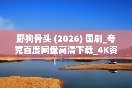 野狗骨头 (2026) 国剧_夸克百度网盘高清下载_4K资源抢先看