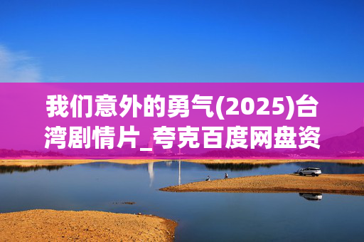 我们意外的勇气(2025)台湾剧情片_夸克百度网盘资源_高清4K下载