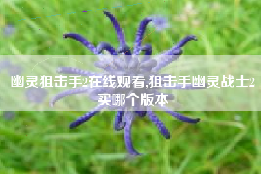 幽灵狙击手2在线观看,狙击手幽灵战士2买哪个版本