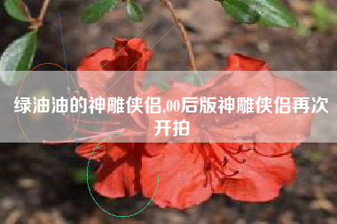 绿油油的神雕侠侣,00后版神雕侠侣再次开拍