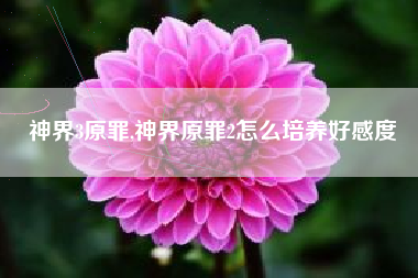 神界3原罪,神界原罪2怎么培养好感度