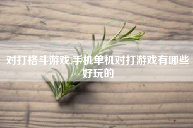 对打格斗游戏,手机单机对打游戏有哪些好玩的