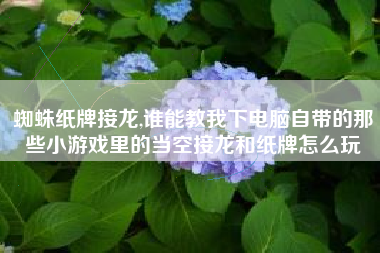 蜘蛛纸牌接龙,谁能教我下电脑自带的那些小游戏里的当空接龙和纸牌怎么玩