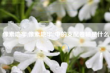 像素地牢,像素地牢2中的支配卷轴是什么