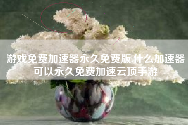游戏免费加速器永久免费版,什么加速器可以永久免费加速云顶手游