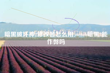 暗黑破坏神2修改器怎么用,switch暗黑2能作弊吗