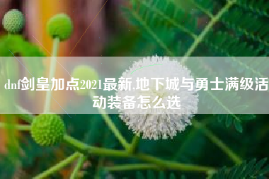 dnf剑皇加点2021最新,地下城与勇士满级活动装备怎么选