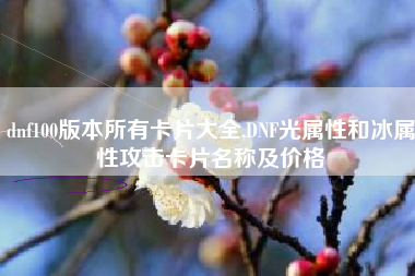 dnf100版本所有卡片大全,DNF光属性和冰属性攻击卡片名称及价格