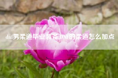 dnf男柔道毕业装备,DNF的柔道怎么加点