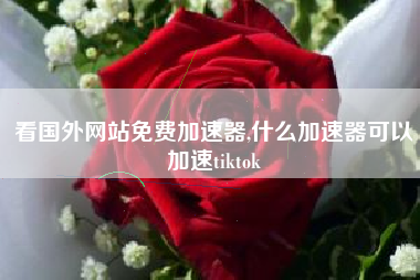 看国外网站免费加速器,什么加速器可以加速tiktok
