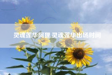 灵魂莲华阿狸,灵魂莲华出场时间
