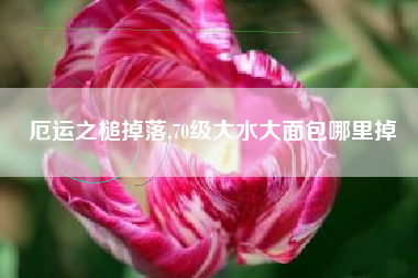 厄运之槌掉落,70级大水大面包哪里掉