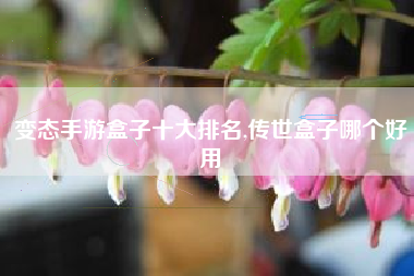 变态手游盒子十大排名,传世盒子哪个好用
