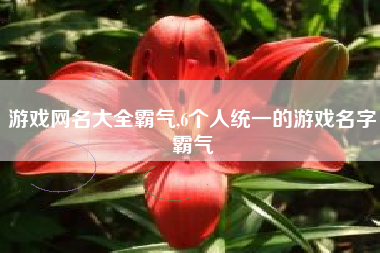 游戏网名大全霸气,6个人统一的游戏名字霸气