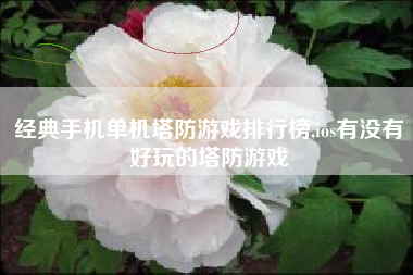 经典手机单机塔防游戏排行榜,ios有没有好玩的塔防游戏