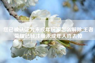 您已被认证为未成年玩家怎么解除,王者荣耀已经注册未成年人咋去掉