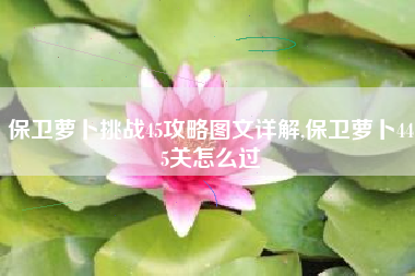 保卫萝卜挑战45攻略图文详解,保卫萝卜445关怎么过