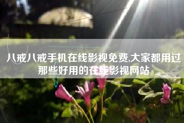八戒八戒手机在线影视免费,大家都用过那些好用的在线影视网站