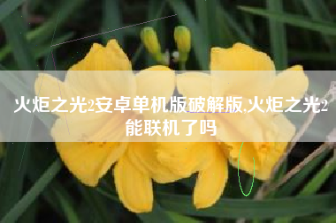 火炬之光2安卓单机版破解版,火炬之光2能联机了吗