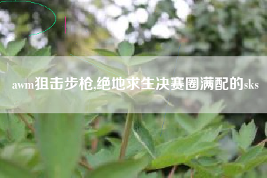 awm狙击步枪,绝地求生决赛圈满配的sks