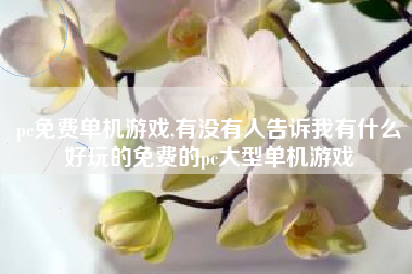pc免费单机游戏,有没有人告诉我有什么好玩的免费的pc大型单机游戏