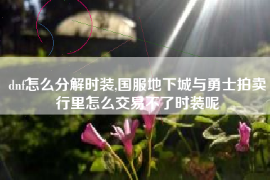 dnf怎么分解时装,国服地下城与勇士拍卖行里怎么交易不了时装呢