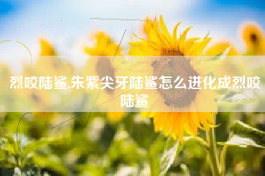 烈咬陆鲨,朱紫尖牙陆鲨怎么进化成烈咬陆鲨