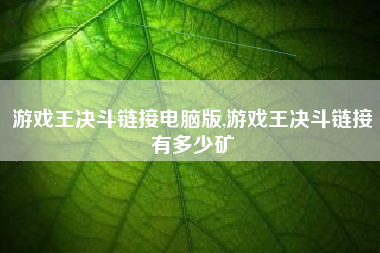 游戏王决斗链接电脑版,游戏王决斗链接有多少矿