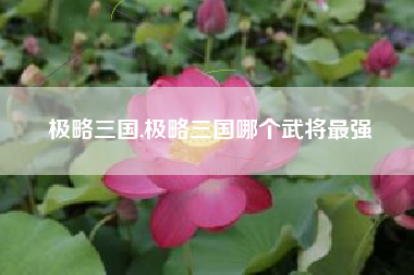 极略三国,极略三国哪个武将最强