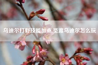 乌迪尔打野技能加点,觅渡乌迪尔怎么玩