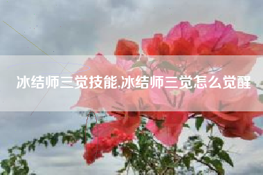 冰结师三觉技能,冰结师三觉怎么觉醒