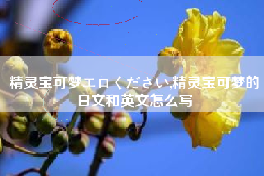 精灵宝可梦エロください,精灵宝可梦的日文和英文怎么写