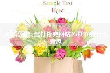 火影忍者一起打扑克网站,NARUTO是什么意思
