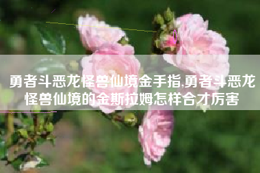 勇者斗恶龙怪兽仙境金手指,勇者斗恶龙怪兽仙境的金斯拉姆怎样合才厉害