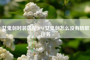 女鬼剑时装搭配,DNF女鬼剑怎么没有转职任务