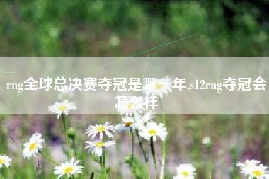 rng全球总决赛夺冠是哪一年,s12rng夺冠会怎么样