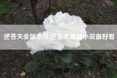 逆苍天全部小说,逆苍天哪部小说最好看