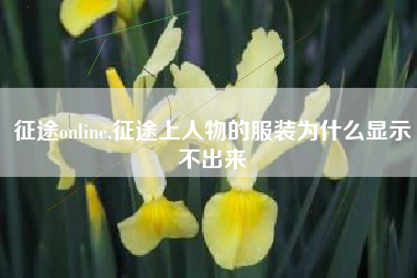 征途online,征途上人物的服装为什么显示不出来