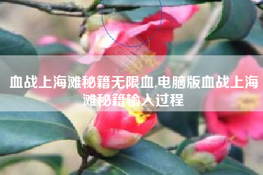 血战上海滩秘籍无限血,电脑版血战上海滩秘籍输入过程
