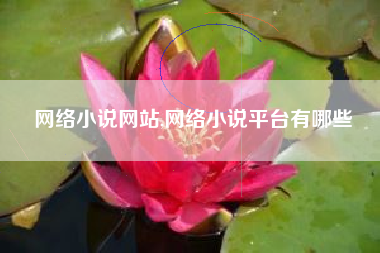 网络小说网站,网络小说平台有哪些