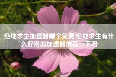 绝地求生加速器哪个免费,绝地求生有什么好用的加速器推荐一下吗