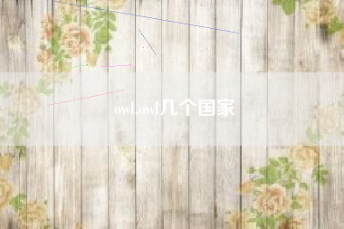 owl,owl几个国家